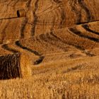 Toskana, Le Crete, Pienza