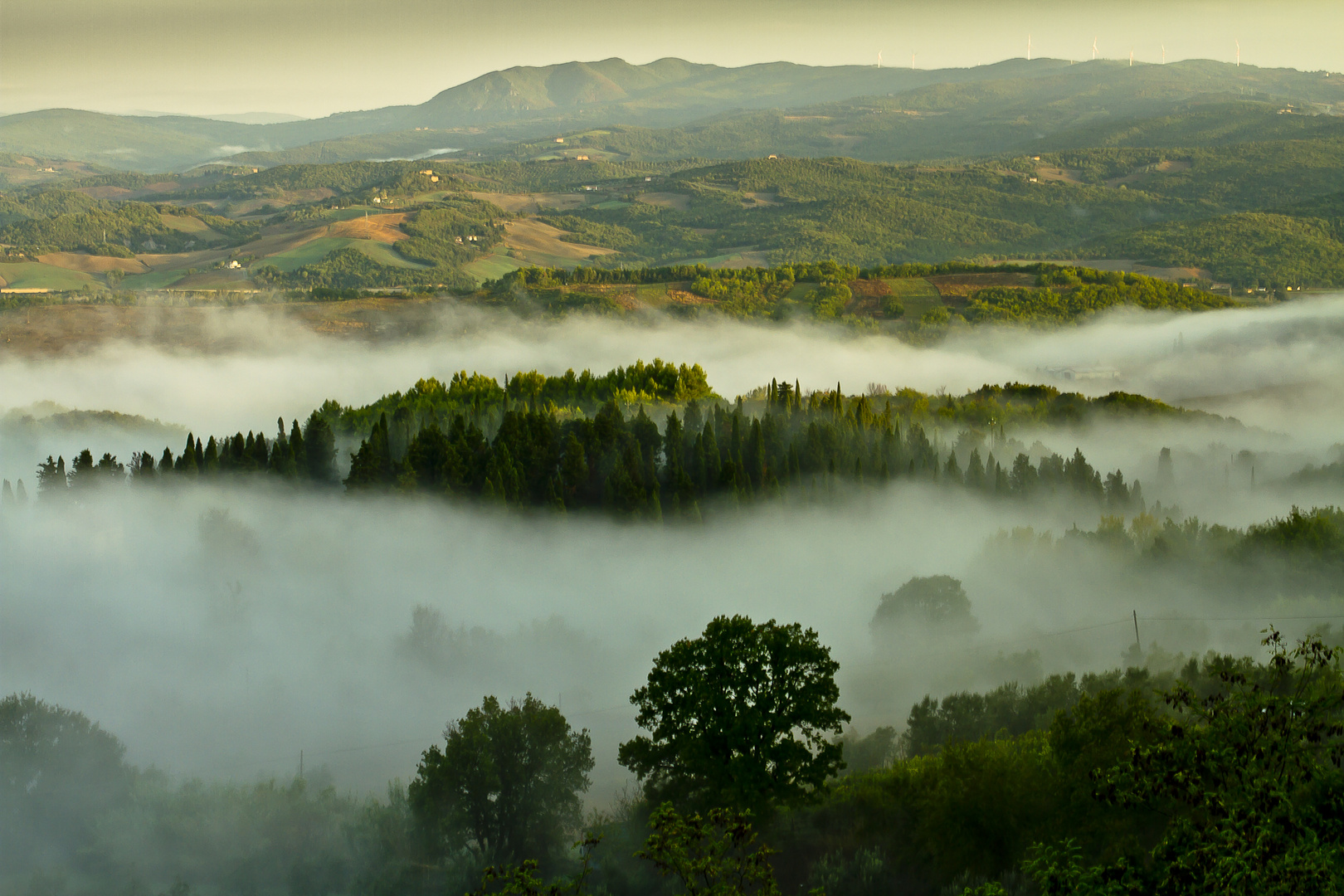 Toskana - Morgennebel in Querceto