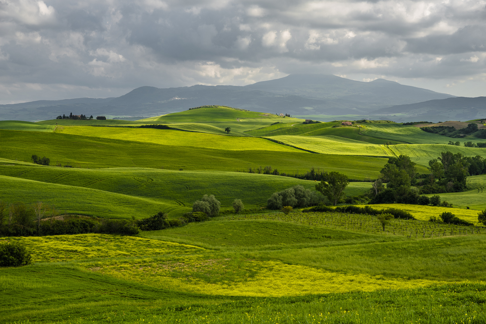 Toskana - Nuancen in Grün