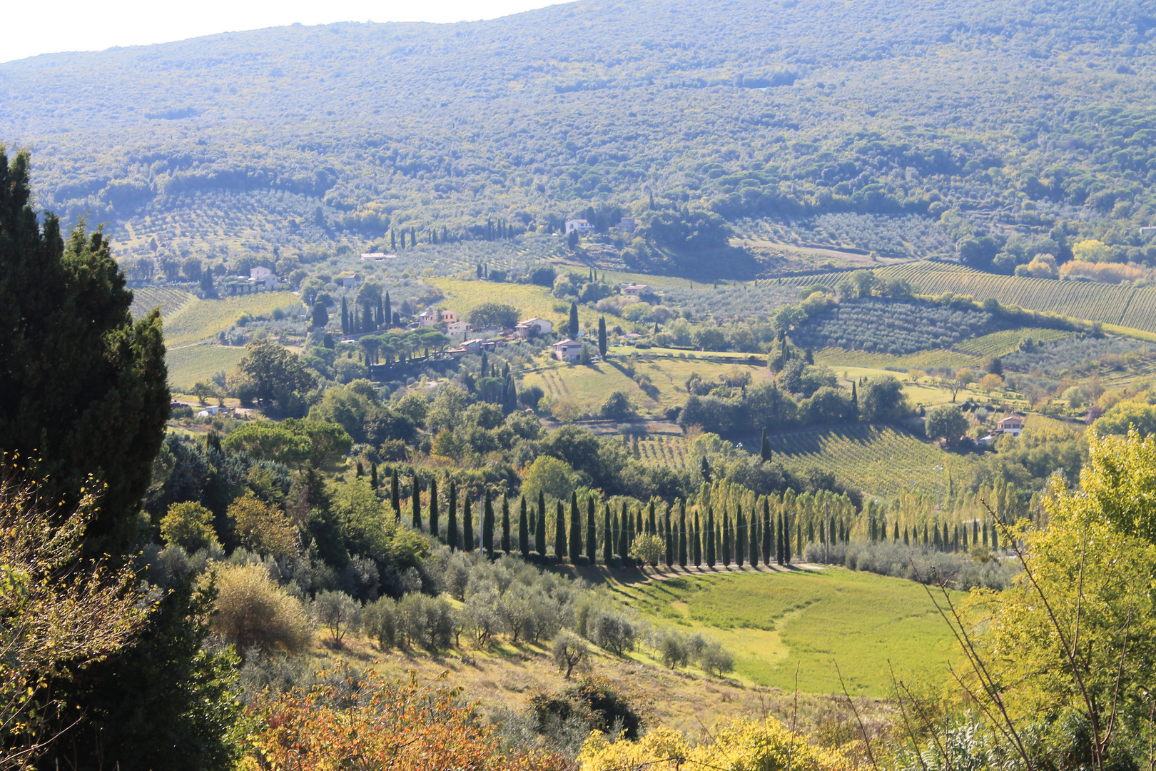 Toskana-Panorama