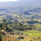 Toskana-Panorama