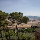 Toskana - Pienza