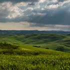 Toskana - sanfte Wellen im Val d`Orcia