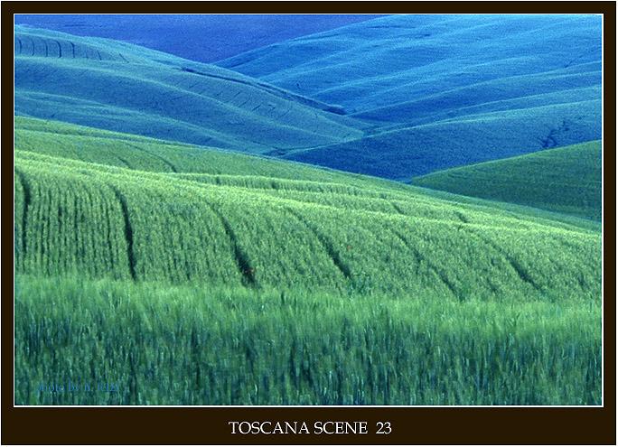 toskana scene 23