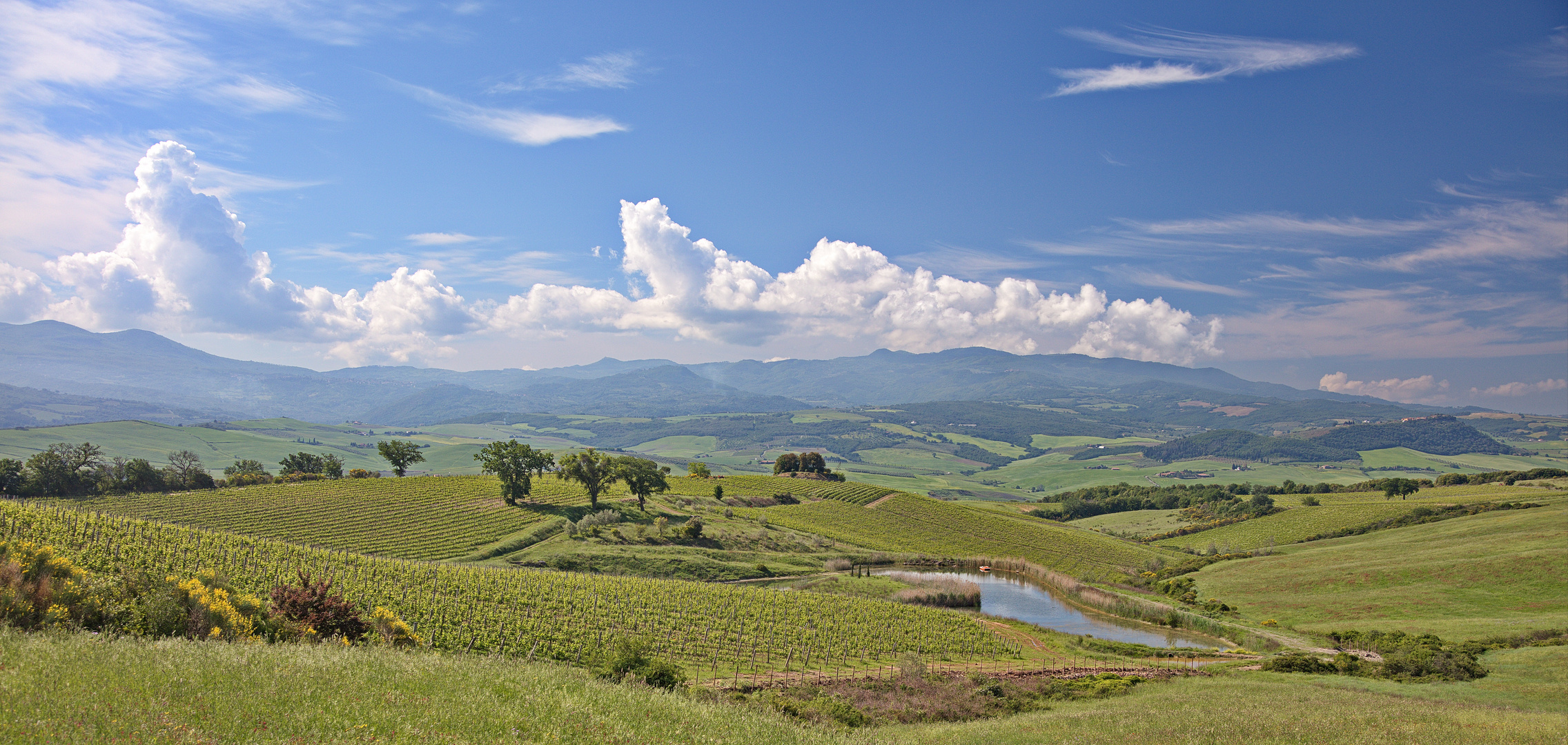 Toskana - südlich von Pienza