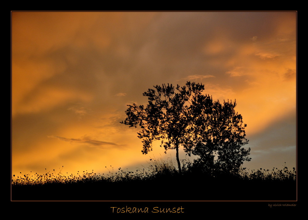 Toskana Sunset II