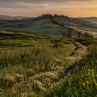 Toskana | Taverne d'Arbia | Sonnenaufgang III