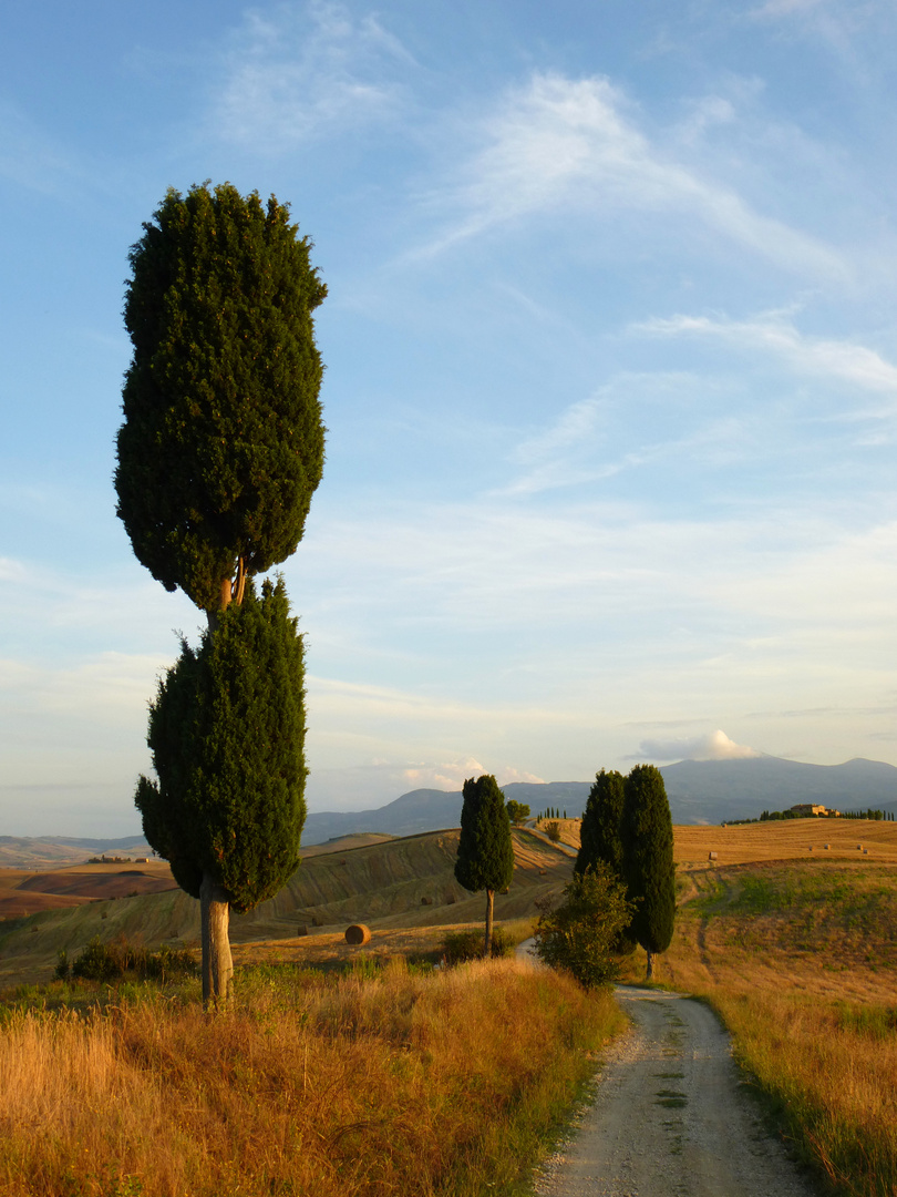 Toskana – Val d'Orcia (2)