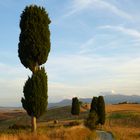 Toskana – Val d'Orcia (2)