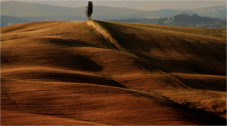 Toskanalandschaft in der Abendsonne