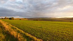 Toskanastimmung im Odenwald (1)