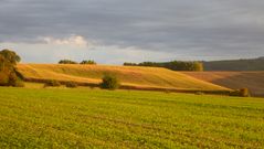 Toskanastimmung im Odenwald (2)