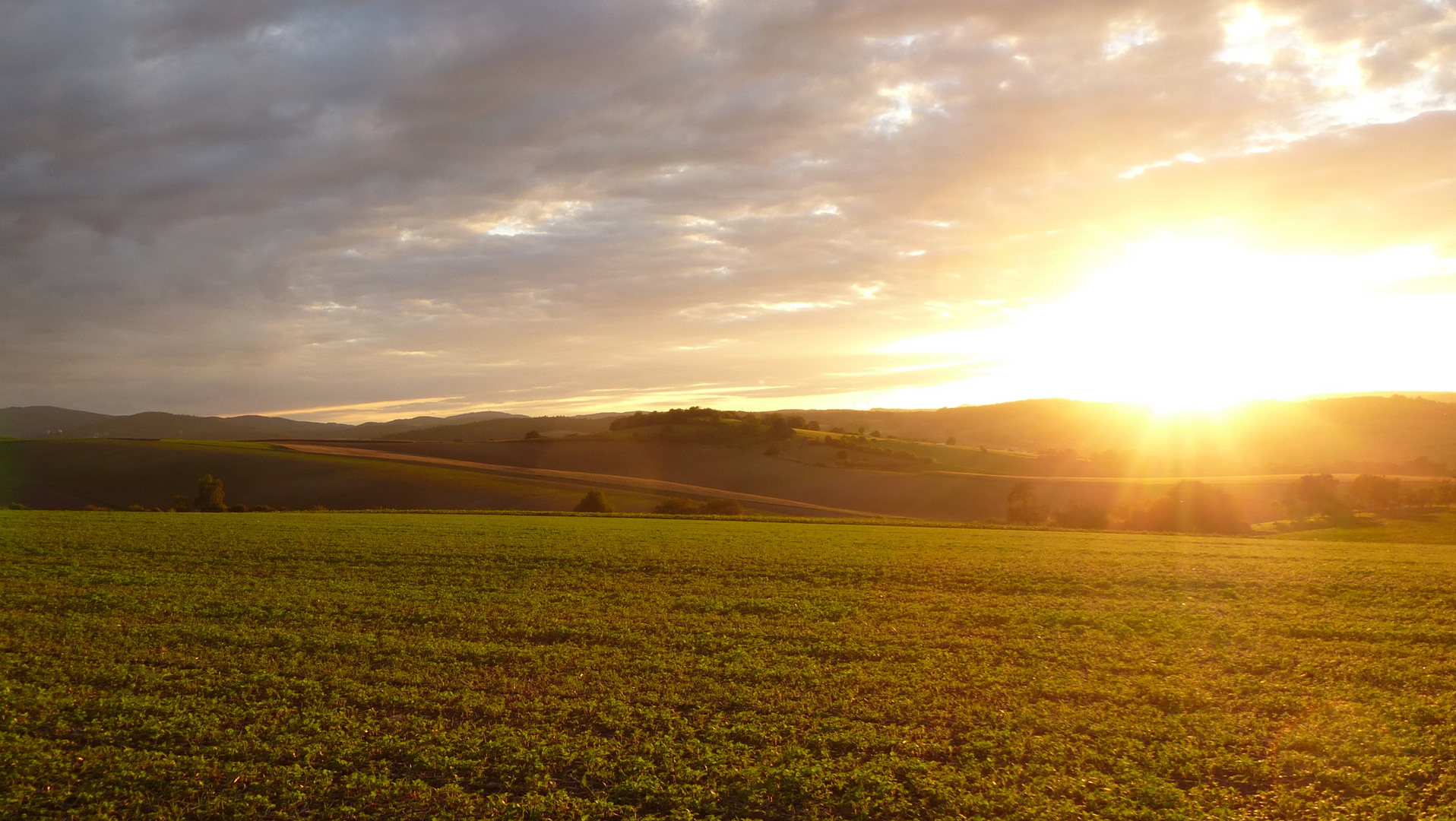 Toskanastimmung im Odenwald (3)