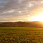 Toskanastimmung im Odenwald (3)