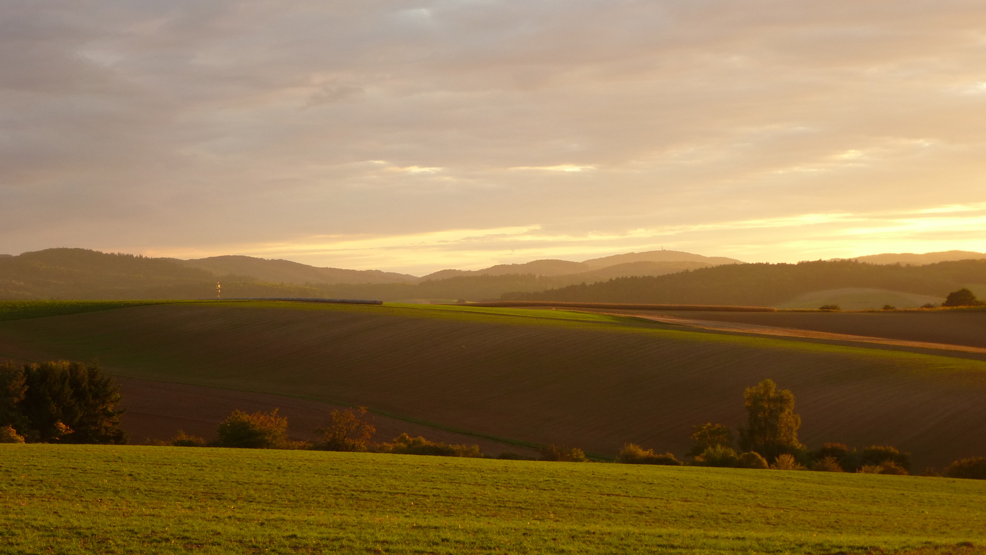 Toskanastimmung im Odenwald (4)