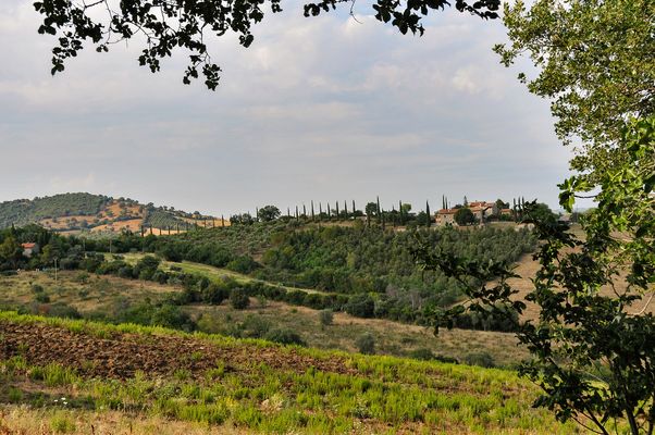 Grosseto Bilder & Fotos