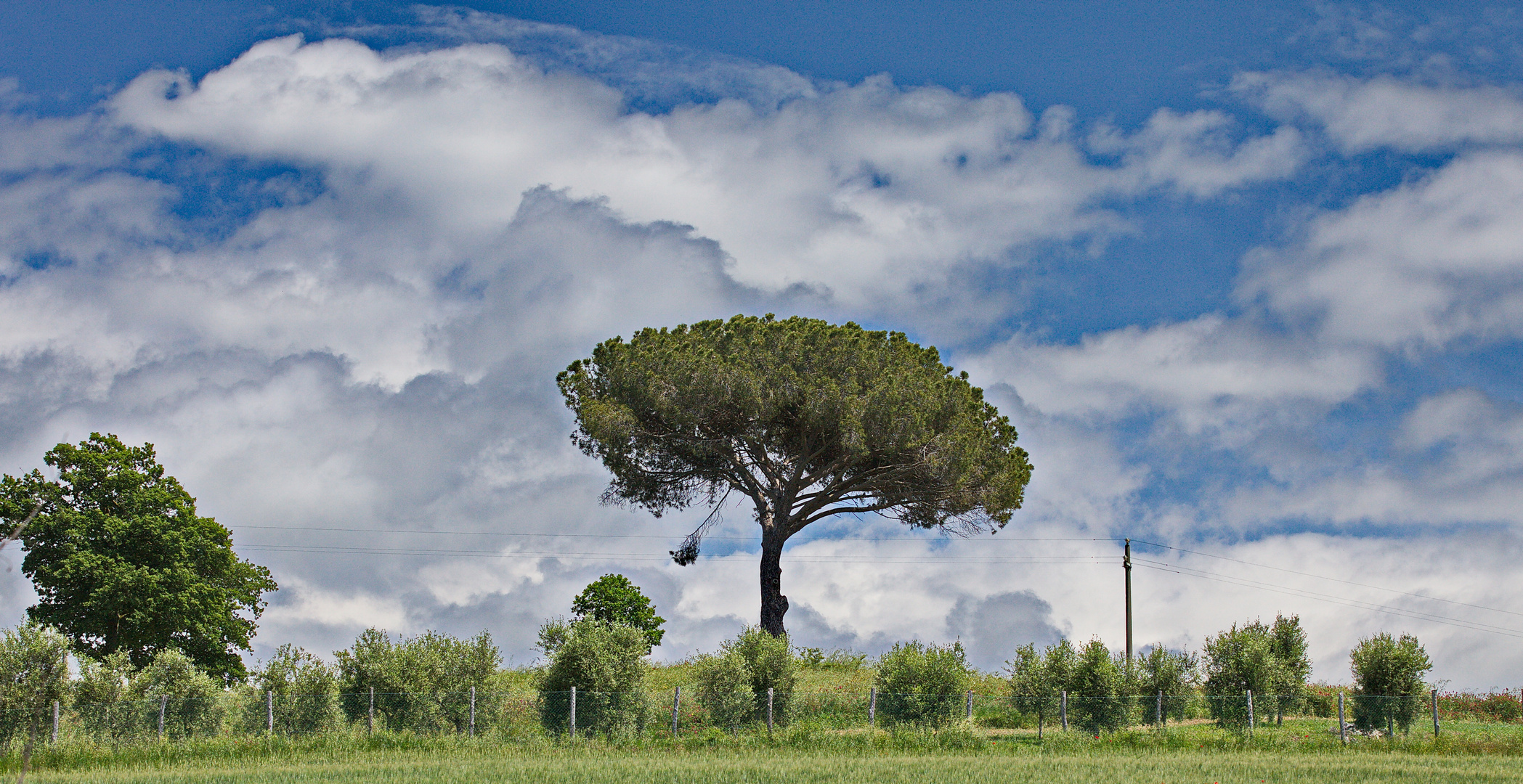 Toskanische Landschaft