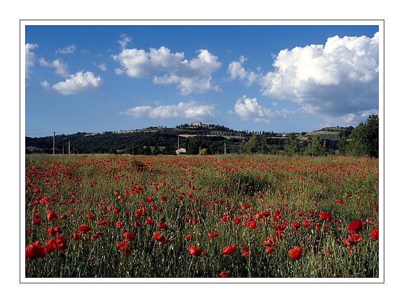 Toskanische Landschaft