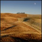 Toskanische Landschaft bei Mondschein