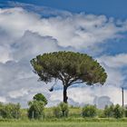 Toskanische Landschaft bei Siena