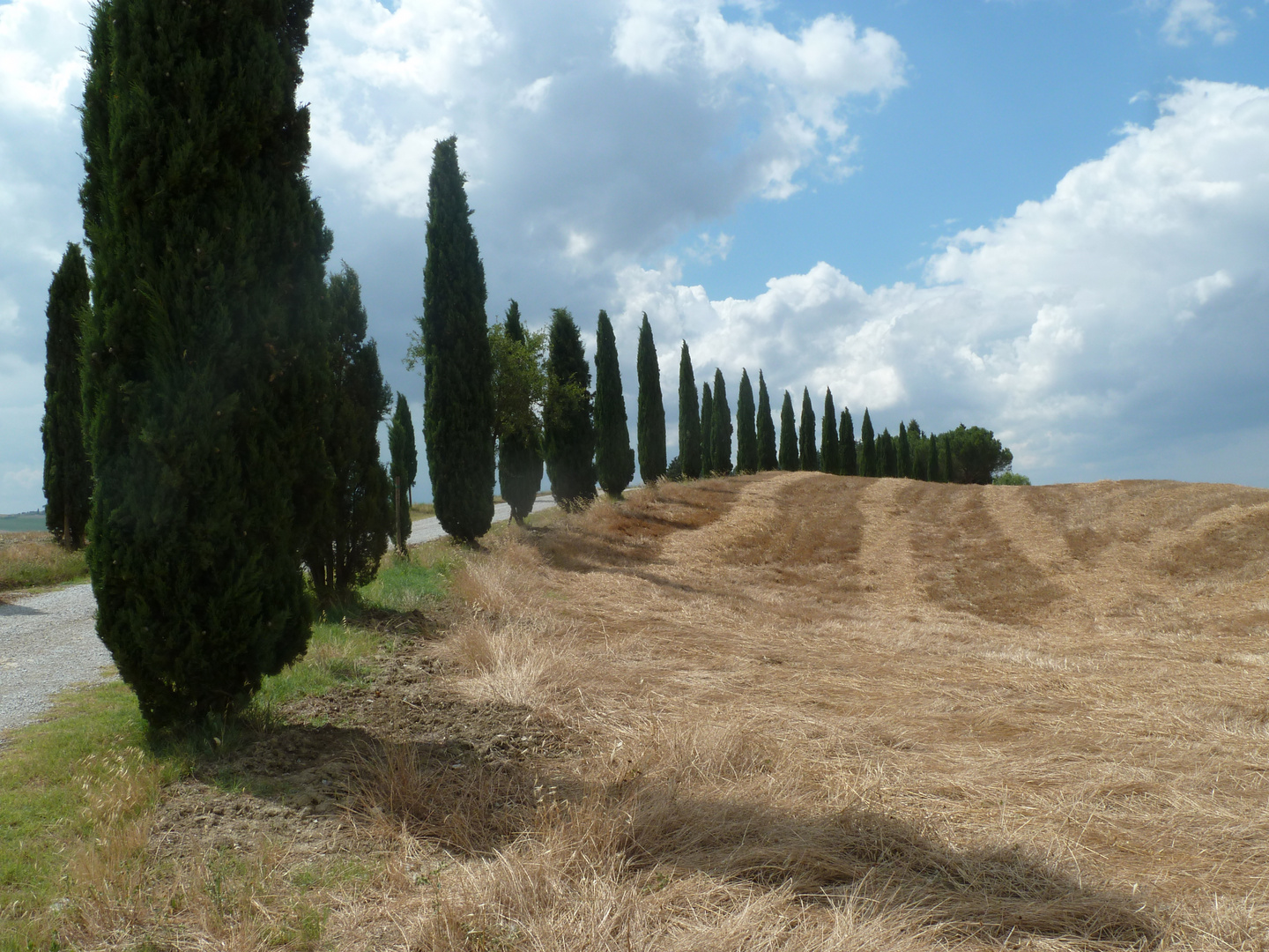 Toskanische Landschaft