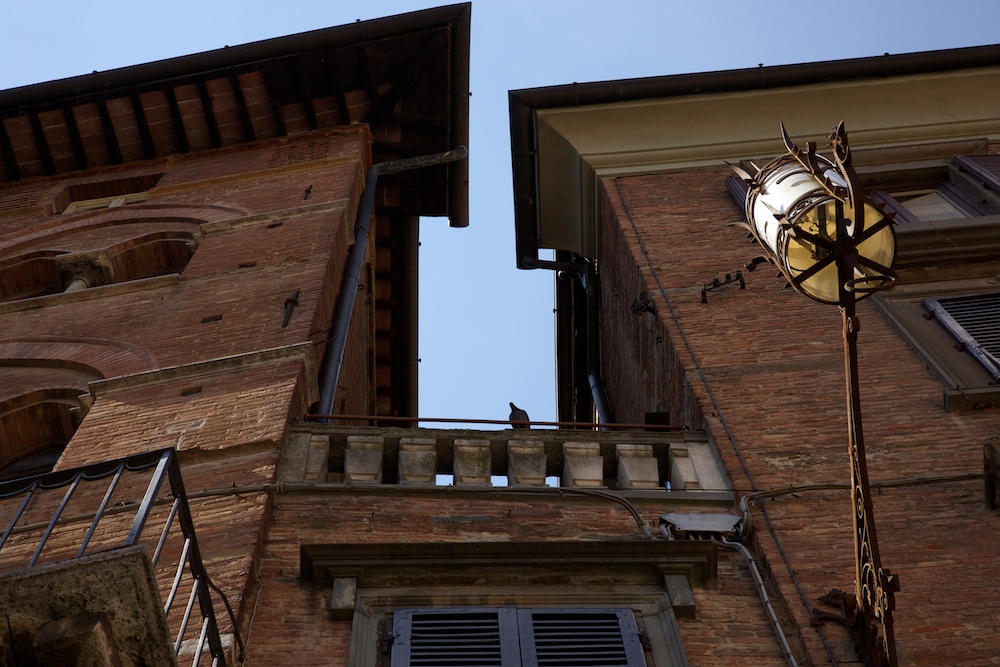 Toskanisches Haus mit Taube in Siena