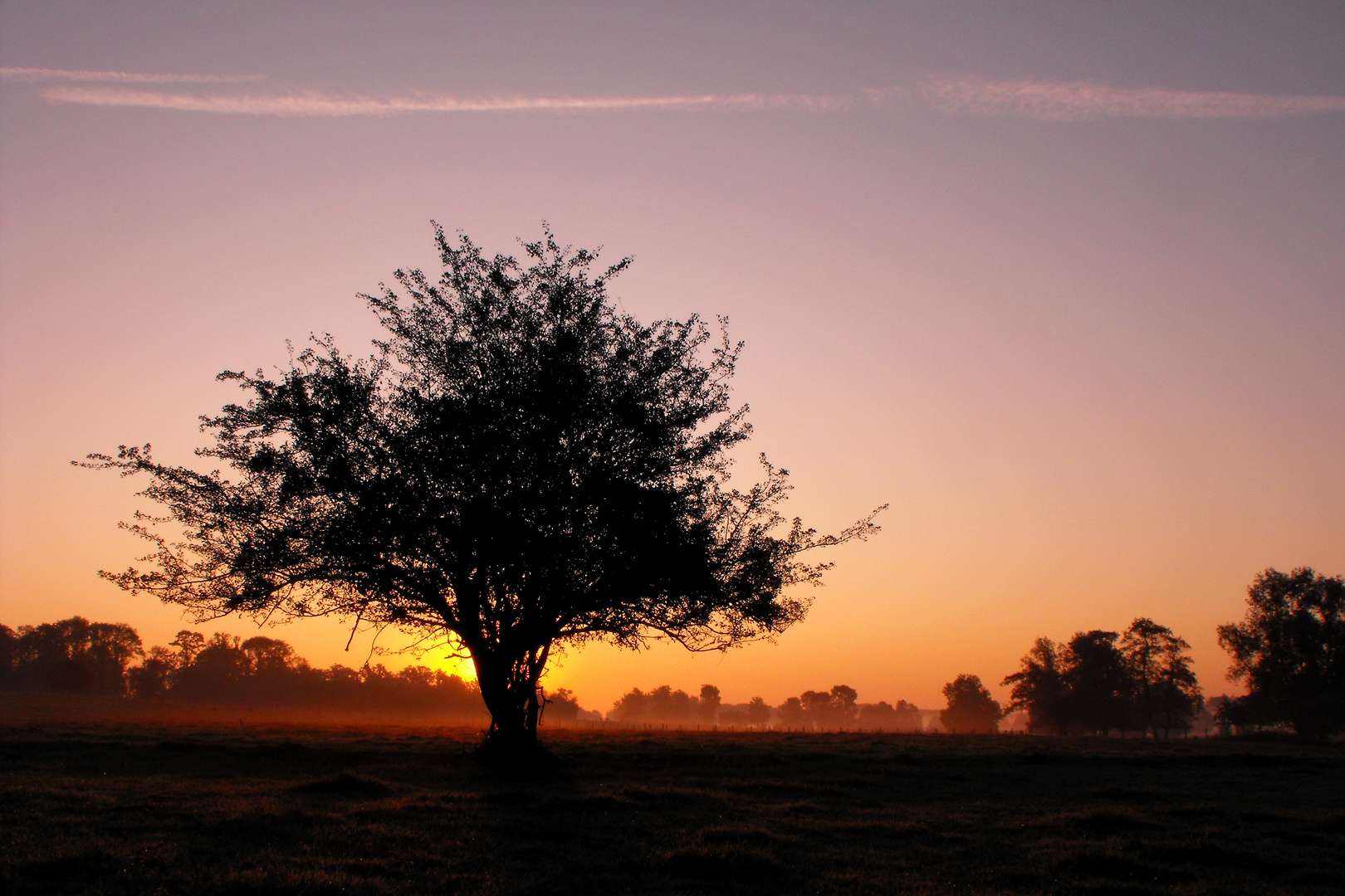 Tôt le matin