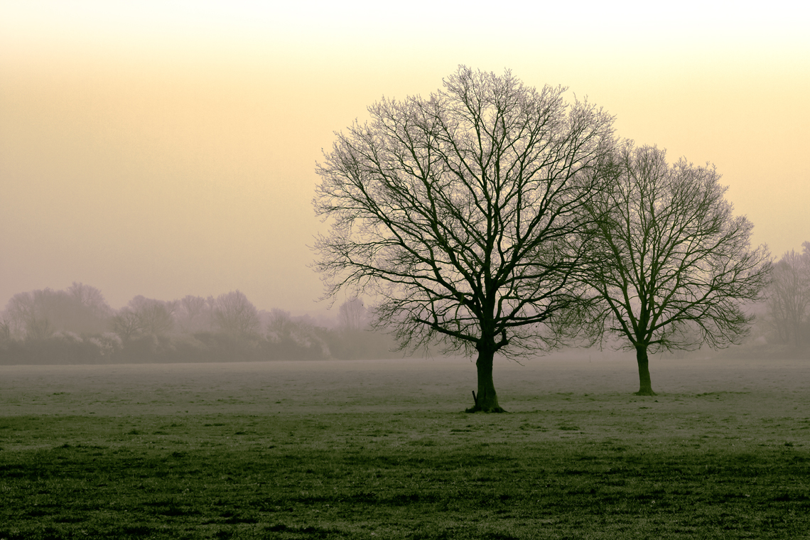 Tôt le matin.