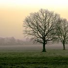 Tôt le matin.