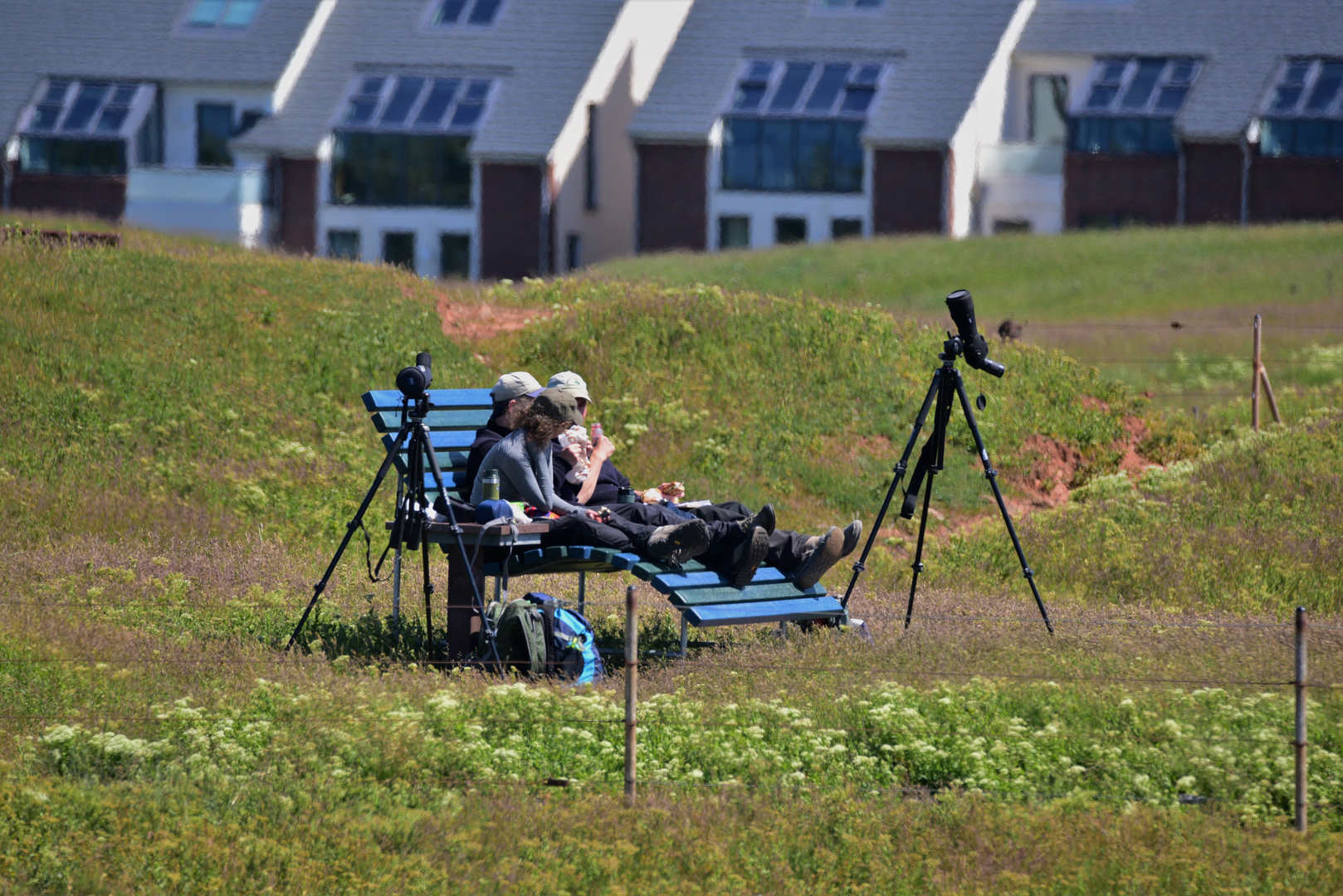 Total entschleunigt auf Helgoland