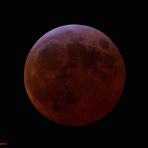 total lunar eclipse