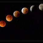 total lunar eclipse