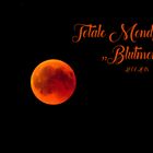 Totale Mondfinsternis "Blutmond"