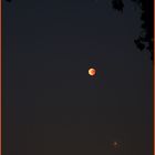 Totale Mondfinsternis - mit Mars