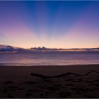 Totaranui | New Zealand