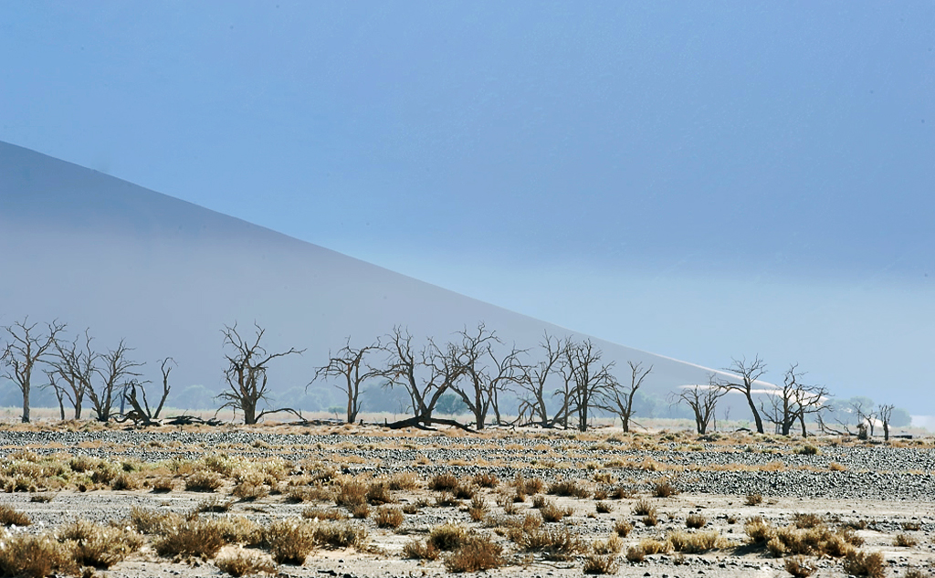 Tote Baeume bei Sossus Vlei - dead trees near Sossus Vlei