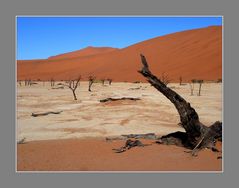 Tote Bäume im Sossuvlei