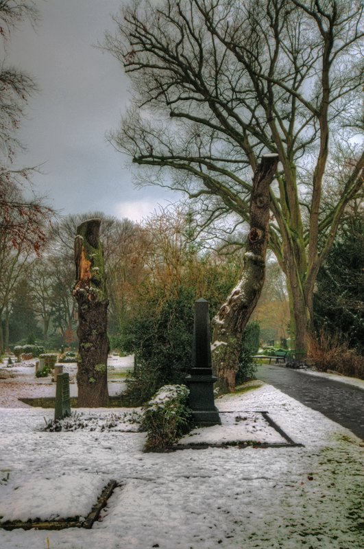 tote Friedhofsbäume