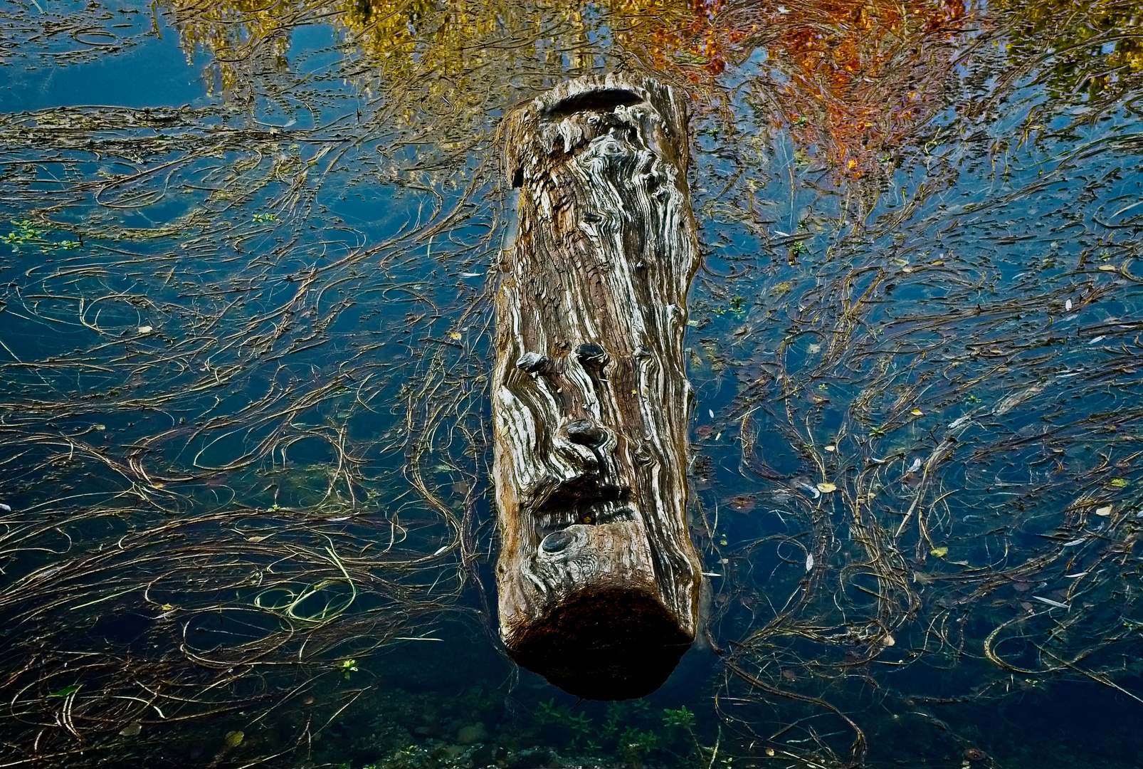 Totem