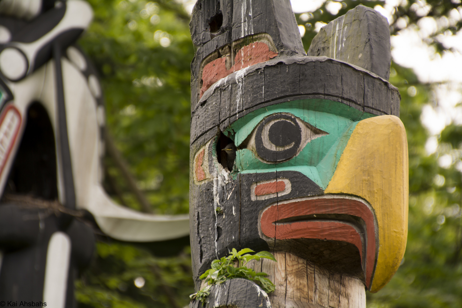 Totem im Stanley Park mit Untermieter