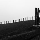 Totems auf der Halde Haniel