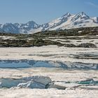 Totenensee Grimselpass Juni 2019