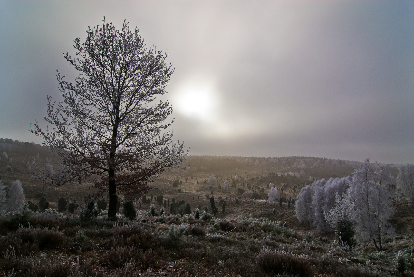 Totengrund im Winterlicht