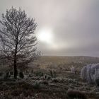 Totengrund im Winterlicht