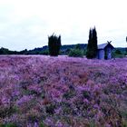 Totengrund, in der Lüneburger Heide 