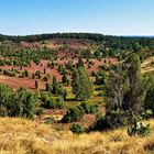 Totengrund in der Lüneburger Heide - Panorama