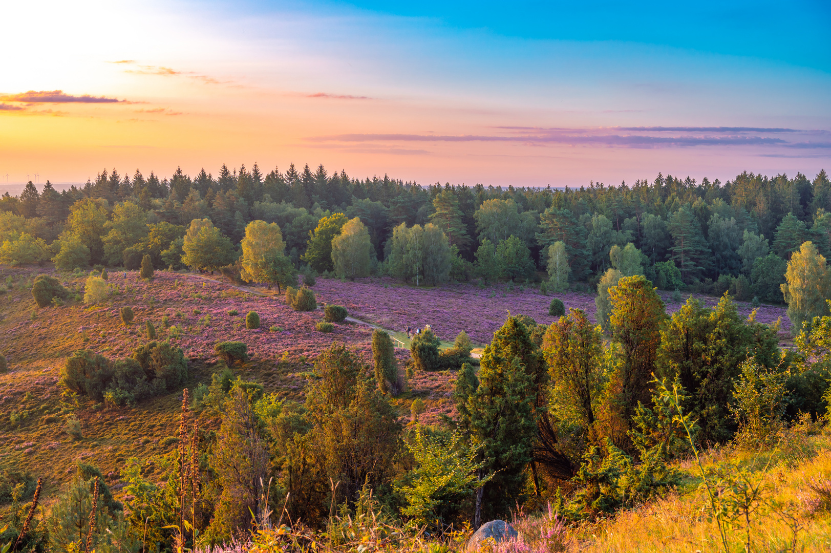 Totengrund kurz nach Sonnenaufgang / Lüneburger Heide