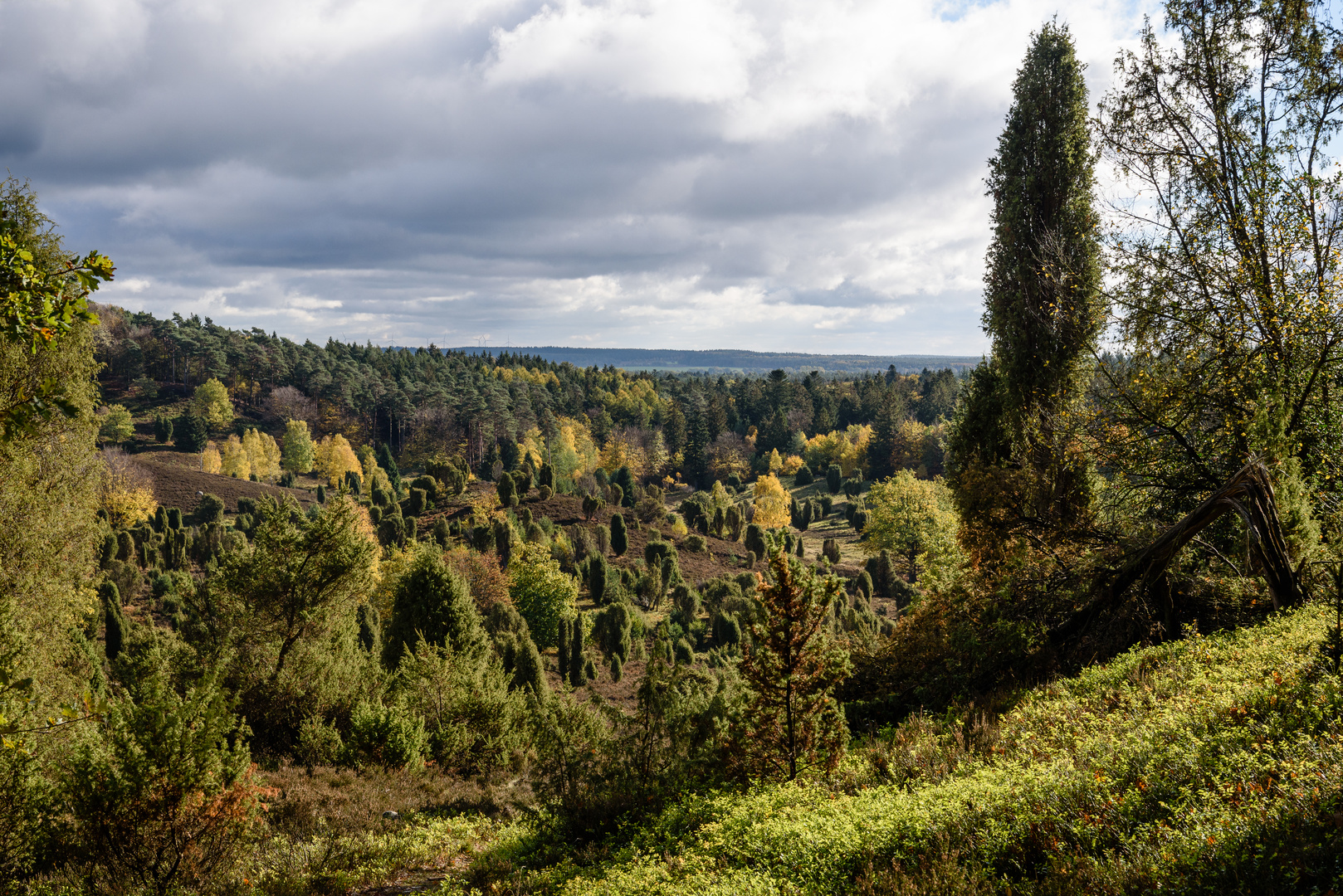 Totengrund Lüneburger Heide