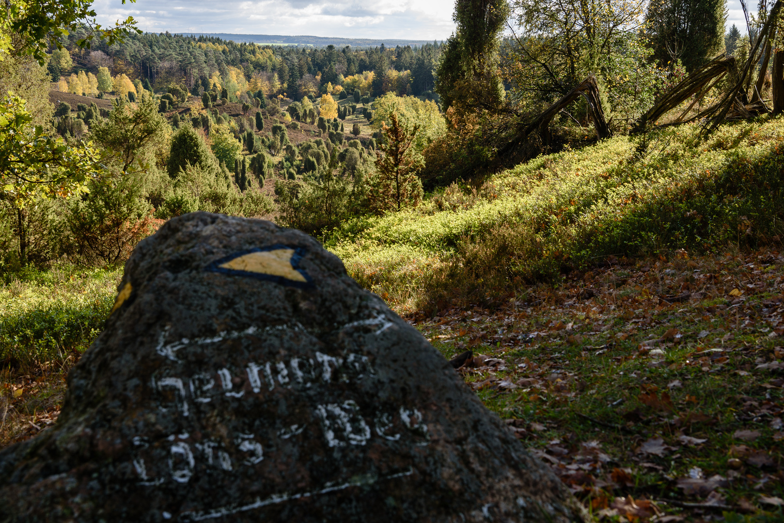 Totengrund Lüneburger Heide