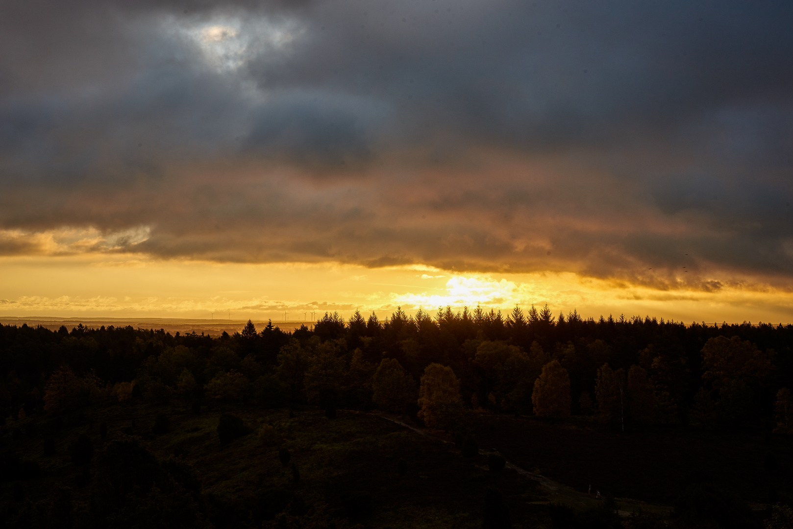 Totengrund Lüneburger Heide